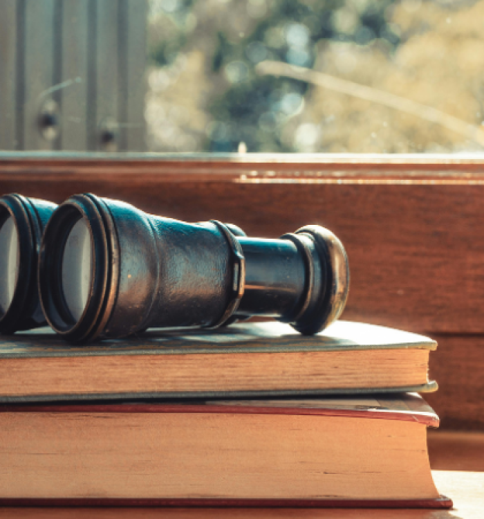 Published gazette for Capacity Regulations